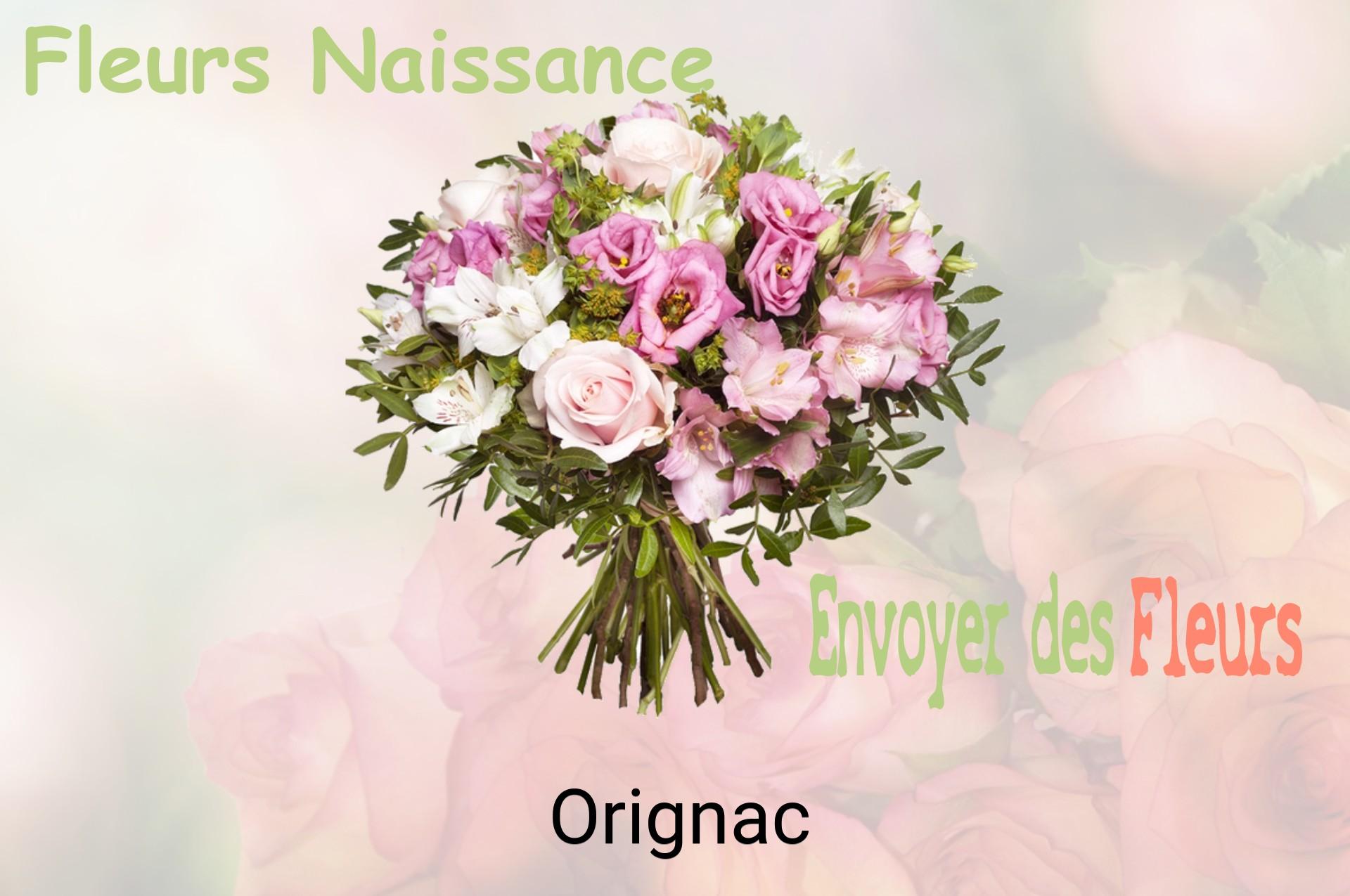 Bouquet de fleurs de naissance livré à Orignac
